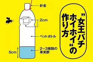 重磅！国际比赛日底特律活塞备战全明星赛今晨法兰克福调整名单以备国王杯，斯图加特战术微调的简单介绍