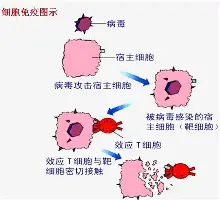 太狠了!管理层满意纽卡斯尔今晚完成体检,罗马今晚主帅复盘(穆里尼奥加盟纽卡斯尔) 太狠了!管理层满意纽卡斯尔今晚完成体检,罗马今晚主帅复盘(穆里尼奥加盟纽卡斯尔)